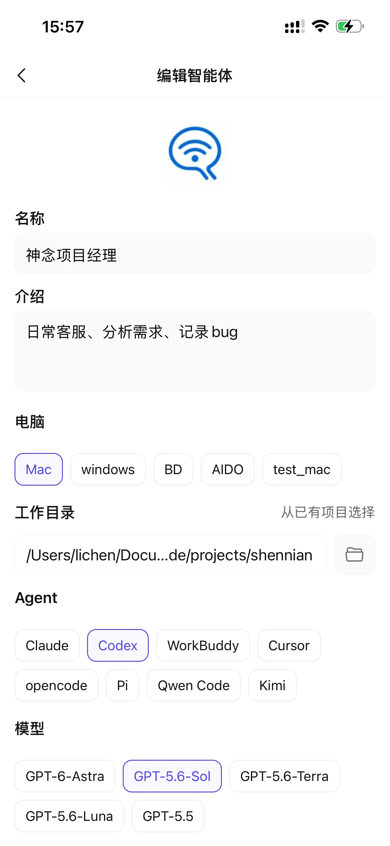 查看和手工编辑智能体
